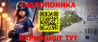 амф Усть-Джегута