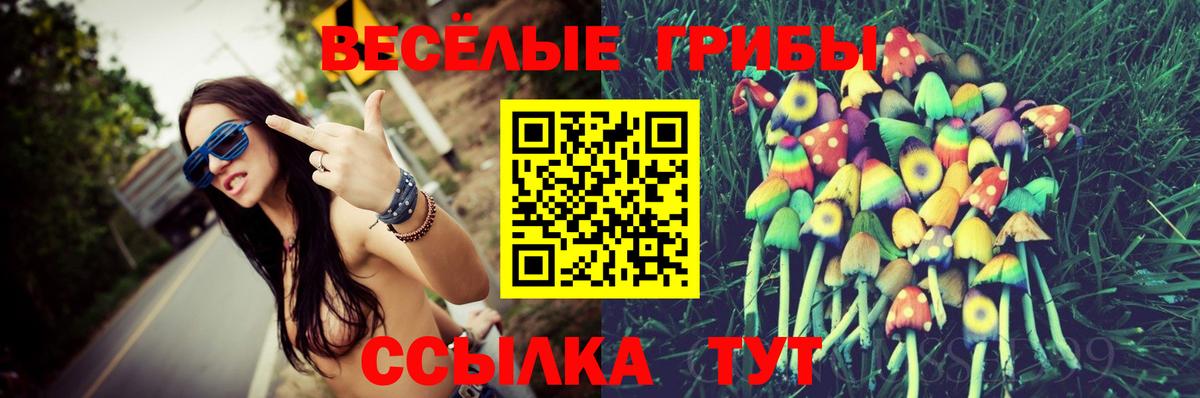 Псилоцибиновые грибы Magic Shrooms Тамбов
